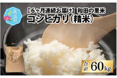 【先行予約】【令和7年産　新米】【6ヶ月定期便】和田の里米 10kg 6ヶ月連続【2025年10月より順次発送】