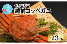 【数量限定】越前コッペガニ（セイコガニ）3杯 セット ｜ せいこがに セイコガニ せいこ蟹 蟹 かに カニ 越前ガニ 越前がに