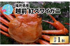 【数量限定】福井県産 越前紅ズワイガニ × 1杯 ｜ ゆで蟹 紅ズワイガニ カニ ズワイガニ 紅ずわいがに かに 紅ズワイガニ カニ ズワイガニ 紅ずわいがに かに 紅ズワイガニ カニ ズワイガニ 紅ずわいがに かに カニ ズワイガニ 紅ずわいがに かに 紅ズワイガニ カニ ズワイガニ 紅ずわいがに かに カニ 冷蔵 チルド 北陸 ゆで蟹  かにみそ かに鍋 かにしゃぶ ボイル