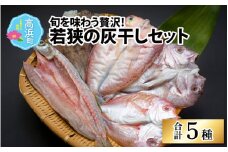 若狭の灰干しセット