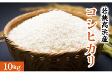 若狭高浜産 コシヒカリ 精米 10kg エコファーマー認定農家栽培