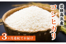 【3ヶ月定期便】若狭高浜産 コシヒカリ 精米 10kg × 3回 計30kg エコファーマー認定農家栽培 