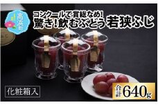 【先行予約】【数量・期間限定】受賞歴多数！飲むぶどう 若狭ふじ 約80g×8個 （約640g）【贈答用にもおすすめ】≪2025年8月中旬より順次発送≫  送料無料[A-009002]