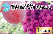 【先行予約】【数量・期間限定】受賞歴多数！飲むぶどう 若狭ふじ 1房(約800g) 【贈答用にもおすすめ】≪2025年8月中旬より順次発送≫送料無料