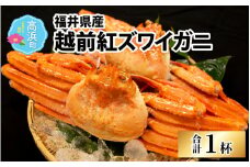 【数量・期間限定】福井県産 越前 紅ズワイガニ ×1杯【急速冷凍】（プロトン凍結） ｜ 紅ずわいがに ずわいがに ズワイガニ かに 蟹 カニ  かにみそ かに鍋 かにしゃぶ ボイル