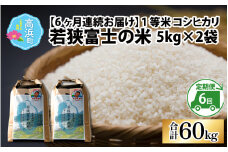 【令和6年産 新米】【6ヶ月連続定期便】一等米コシヒカリ 若狭富士の米 10kg（5kg×2袋）×6回　計60kg
