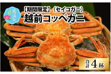 【数量・期間限定】福井県産 越前コッペガニ（セイコガニ）×4杯 【急速冷凍】（プロトン凍結）