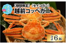 【数量・期間限定】福井県産 越前コッペガニ（セイコガニ）×6杯【急速冷凍】（プロトン凍結）