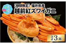 【数量・期間限定】福井県産 越前 紅ズワイガニ ×3杯【急速冷凍】（プロトン凍結）