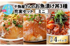 干物屋さんの漬け丼 充実セットミニ【急速冷凍】（プロトン凍結）｜ 漬け丼セット 3種  小分け 海鮮丼 漬け 漬け魚 鯛 タイ 真鯛 真ダイ サーモン 福井サーモン パック 人気 蓮子鯛 冷凍