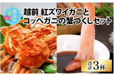 福井県産 越前 紅ズワイガニとコッペガニの蟹づくしセット【急速冷凍】（プロトン凍結） ｜  ずわいがに ズワイガニ 紅ずわいがに かに カニ 蟹 せいこがに セイコガニ かにみそ かに鍋 かにしゃぶ ボイル