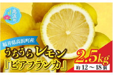 日本海で育ったうちうらレモン「ビアフランカ2.5kg」皮まで丸ごと食べられます！