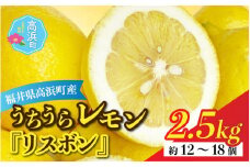 日本海で育ったうちうらレモン「リスボン2.5kg」皮まで丸ごと食べられます！（農薬不使用）