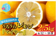 日本海で育ったうちうらレモン「マイヤー2.5kg」皮まで丸ごと食べられます！
