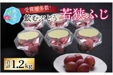 【先行予約】【数量・期間限定】受賞歴多数！飲むぶどう 若狭ふじ 約200g×6個（約1.2kg）【ご自宅用】≪2025年8月中旬より順次発送≫  / ブドウ 葡萄 果物 フルーツ デザート 高級 ブランド 国産 大粒 種なし 糖度 産地直送 お取り寄せ 贈り物 ギフト 送料無料