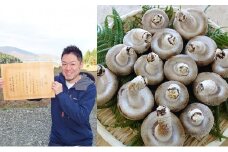 おーい菌床しいたけ2.5kg