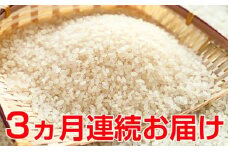 新米！【3ヶ月連続】特別栽培米コシヒカリ　5kg