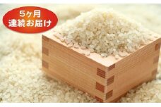 新米！【5ヶ月連続】つきたて自家製精米　減農薬コシヒカリ　5kg