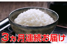 【3ヶ月連続】名田の荘コシヒカリ10kg