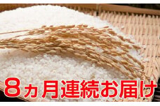 新米！【8ヶ月連続】つきたて自家製精米　減農薬コシヒカリ　5kg