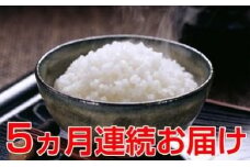 【5ヶ月連続】名田の荘コシヒカリ10kg