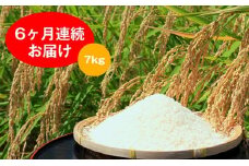 【6ヶ月連続】名田の荘コシヒカリ7kg