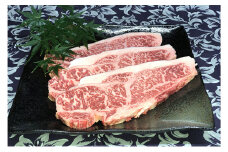 福井県のブランド牛 若狭牛 サーロインステーキ用 200g×3枚