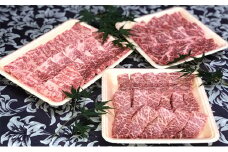 福井県のブランド牛 若狭牛 焼肉セット 【 牛ロース 牛モモ 牛バラ 】