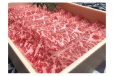 福井県のブランド牛 若狭牛 ローススライス 500g