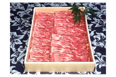 福井県のブランド牛 若狭牛 モモスライス 650g