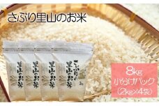 さぶりの里山の お米 コシヒカリ 8kg（小分けパック×4袋セット）