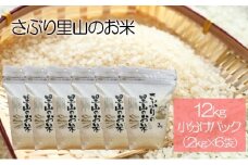 さぶりの里山の お米 コシヒカリ 12kg（小分けパック×6袋セット）