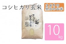 さぶりの里山のお米　コシヒカリ玄米　10kg