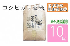 定期便 【3ヶ月連続】さぶりの里山のお米　コシヒカリ玄米　10kg