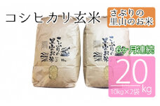 定期便 【6ヶ月連続】さぶりの里山のお米　コシヒカリ玄米 10kg×2袋（20kg）
