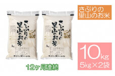 定期便 【12ヶ月連続】さぶりの里山のお米　コシヒカリ精米　5kg×2袋（10kg）