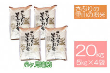 定期便 【6ヶ月連続】さぶりの里山のお米　コシヒカリ精米　5kg×4袋セット（20kg）