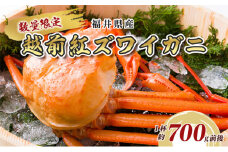 数量限定!福井県産 越前紅ズワイガニ 1杯約700g前後