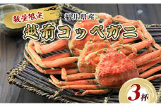 数量限定！福井県産 越前コッペガニ3杯