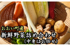 おおい町産新鮮野菜詰め合わせ