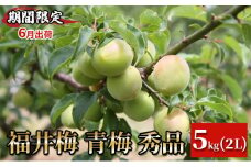 【期間限定・6月出荷】福井梅 青梅 秀品 5kg 2L 梅酒用 梅シロップ用 梅干し用　新平太夫（シンヘイダイユウ）
