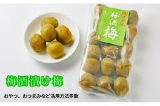 梅酒の梅 5袋セット(梅酒に入れて、おやつに、おつまみに、煮詰めてジャムに) [№5580-0096]