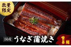 若狭の鰻屋さんのうなぎの蒲焼き1尾【国産　数量限定】 [№5580-0160]