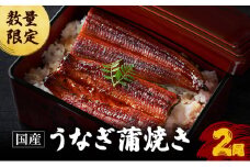 数量限定 国産うなぎ 蒲焼き 2尾 セット 詰め合わせ うなぎ 鰻 ウナギ 国産 うなぎの蒲焼き 鰻の蒲焼 老舗うなぎ専門店 徳右ェ門 魚介 魚介類 海鮮 限定 福井 福井県 若狭町 [№5580-0161]