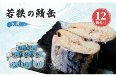 サバ缶 水煮 12缶 セット 詰め合わせ 若狭の鯖缶 鯖缶 さば缶 さば サバ 鯖 缶詰 缶詰め 魚 魚介 魚介類 海鮮 水煮缶 福井 福井県 若狭町 [№5580-0177]