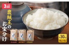 【10月以降価格改定予定】3か月連続　農賊王のお宝分け 白米10kg［高島屋選定品］[№5580-0255]