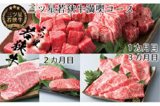 3ヶ月連続お届け　三ツ星若狭牛満喫コース2［髙島屋選定品］ [№5580-0277]