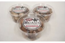 黒にんにく(170g)を3パック　若狭町産にんにく使用 [№5580-0268]