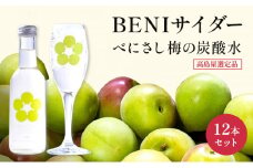 炭酸 高島屋選定品 BENIサイダー 250ml 12本 セット 炭酸飲料 高島屋 飲料 梅サイダー サイダー 紅映 梅 うめ ウメ 福井県 福井  [№5580-0299]