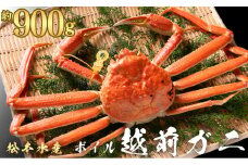 越前ガニ ボイル 約900g[高島屋選定品］越前がに 越前かに 越前カニ ずわいがに ズワイガニ 蟹 かに カニ ボイルガニ [№5580-0308]